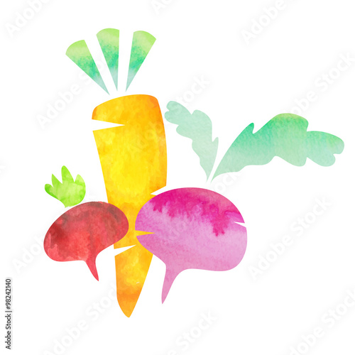 set of vector watercolor vegetables