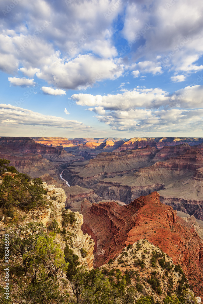 Vertical view of Grand Canyon