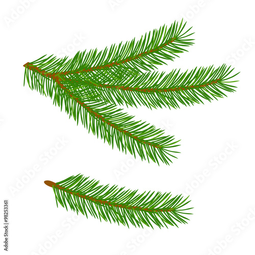 The tree branch design element