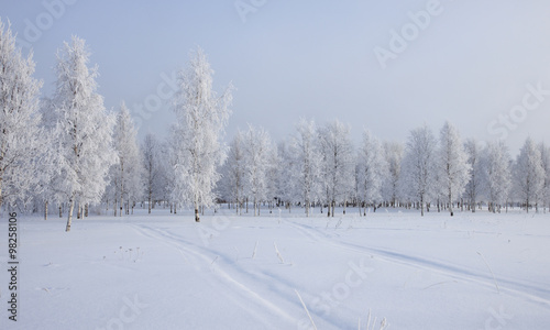 Winter landscape with snow covered trees  . © severga