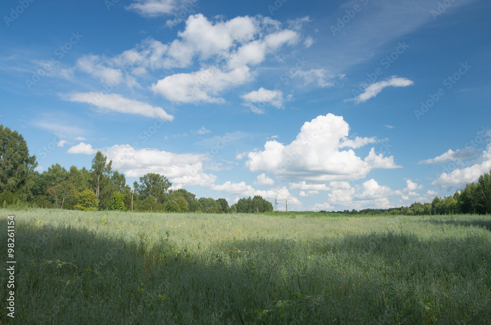 Obraz premium Летний загородный пейзаж в Псковской области