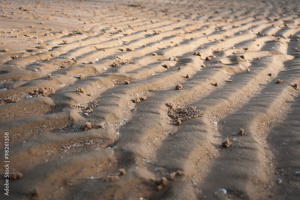 Fototapeta premium Sand Curve Texture