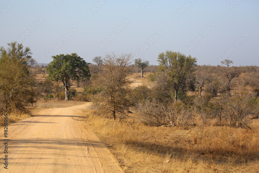 beautiful landscape in Kruger National Park. beautiful landscape in Kruger National Park.