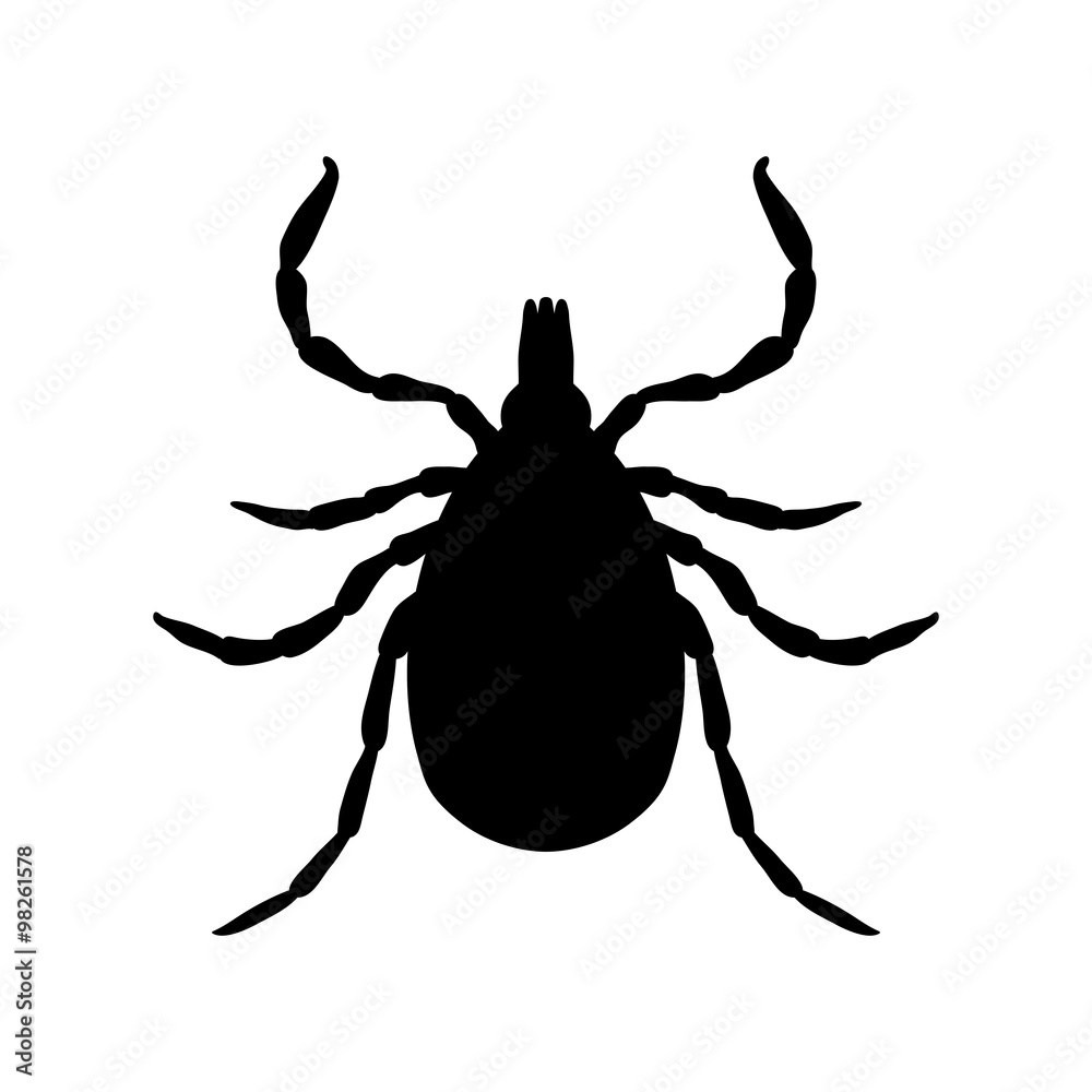 Tick parasite. Sketch of Tick. Mite. Tick isolated on white background. Tick Design for coloring book Tick parasite. Sketch of Tick. Mite. Tick isolated on white background. Tick Design for coloring book