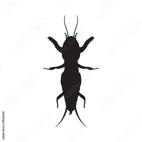 Gryllotalpidae silhouette.European mole cricket. gryllotalpa. Sketch of mole cricket  mole cricket isolated on white background