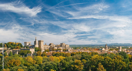 Wide panoramic view of old town and Papal palace in Avignon photo