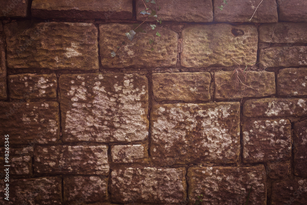 Obraz premium lichen on the rocks, the texture of stone with lichen
