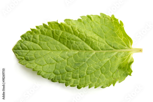 Fresh raw mint leaves isolated on white 
