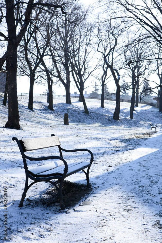 Bench In Winter Park, Prague