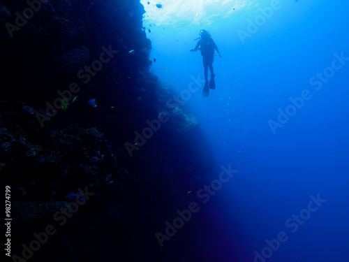 Silhouette of diver at a wall with fish and corals
