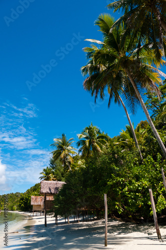 Nipa bamboo Huts at the White Sand beach with palm trees