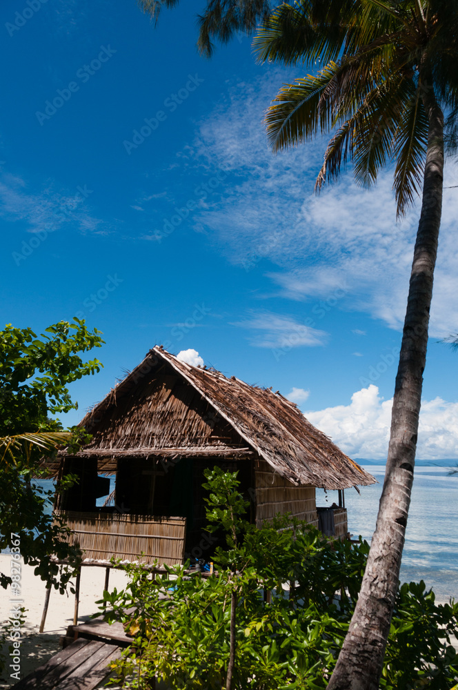 Lonely Nipa Hut on stilts with palm tree at a Beautiful Beach in front of the ocean