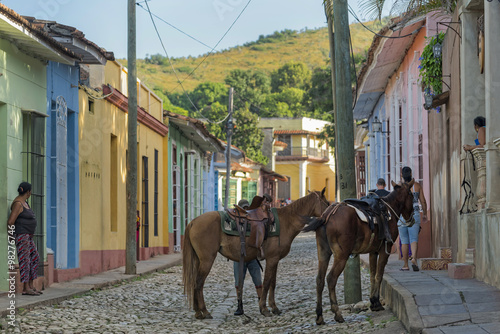 Fototapeta Naklejka Na Ścianę i Meble -  Trinidad Cuba Pferde