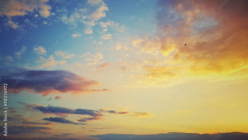 Beautiful cloudscape, colorful sunrise and flying bird in the sky