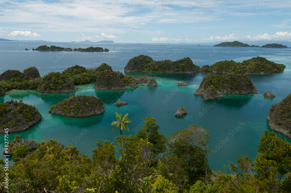 Many small green Islands belonging to Fam Island in the sea of Raja Ampat, Papua New Guinea