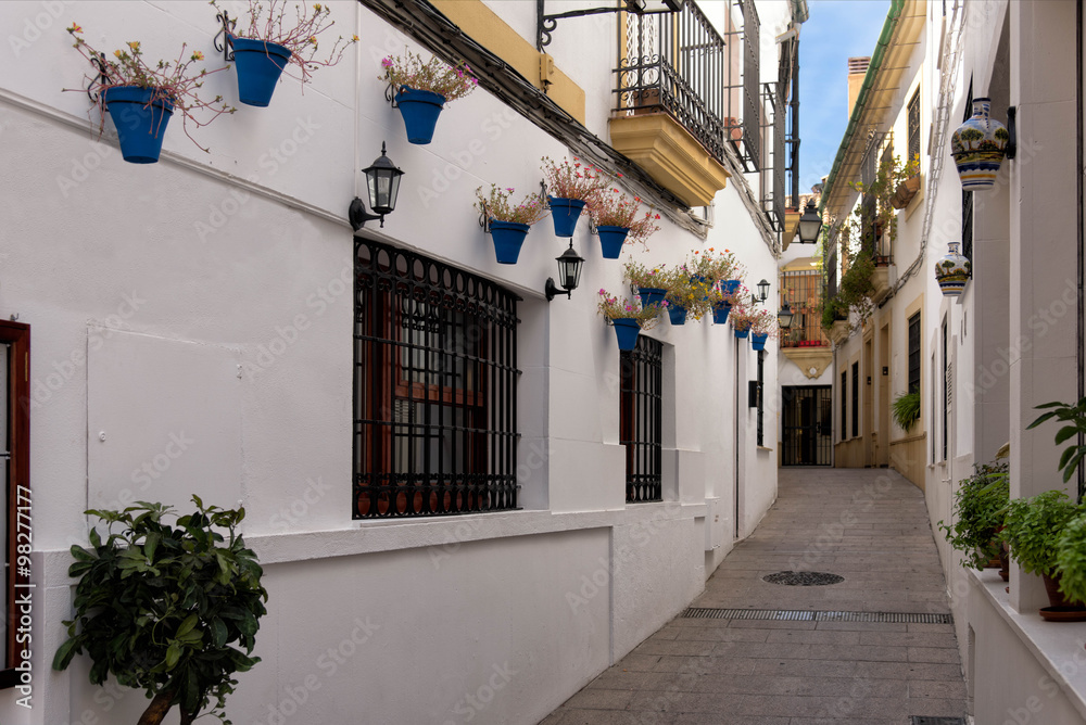 Fototapeta premium Calle Blanco, Cordoba, Spain