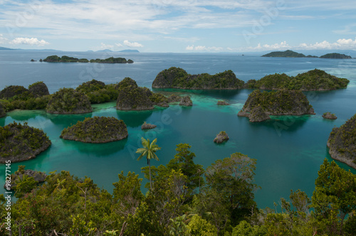 Many small green Islands belonging to Fam Island in the sea of Raja Ampat, Papua New Guinea © attiarndt