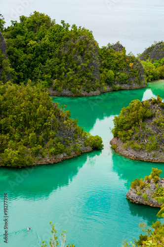 Small green Islands belonging to Fam Island in the sea of Raja Ampat, Papua New Guinea