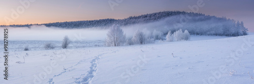 Winter sunrise, frosty trees in fog, frozen pine forest, winter banner