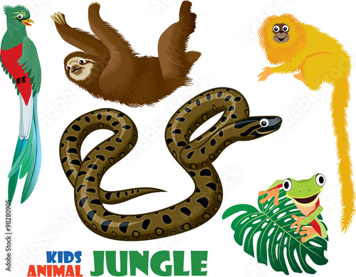 vector set of cute jungle kids animals