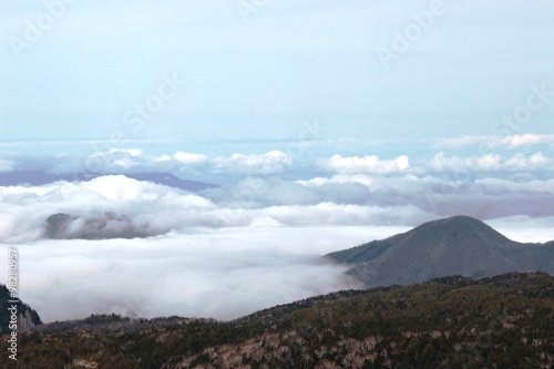 山頂の雲海