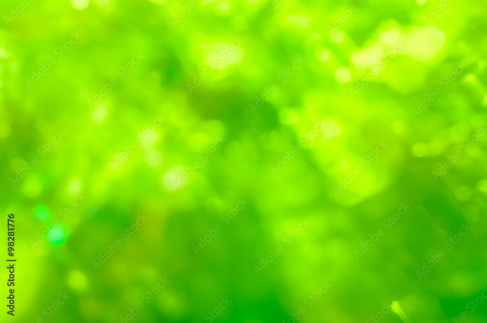 Fototapeta premium Abstract blurred background