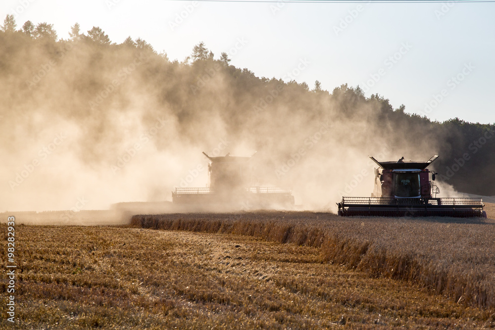 Obraz premium Combine working on the wheat field
