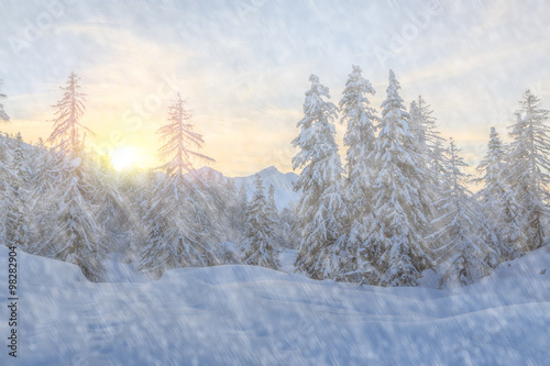 Trees covered with hoarfrost and snow in mountains