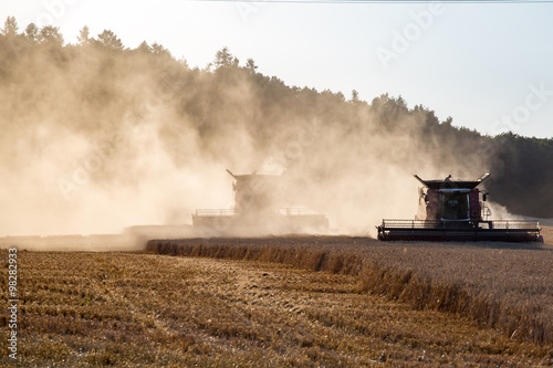 Combine working on the wheat field © Stockr