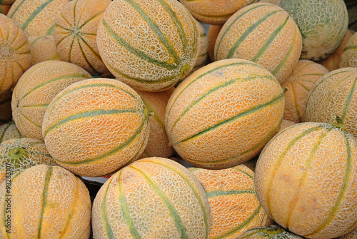 Melons at Cervia outdoor market