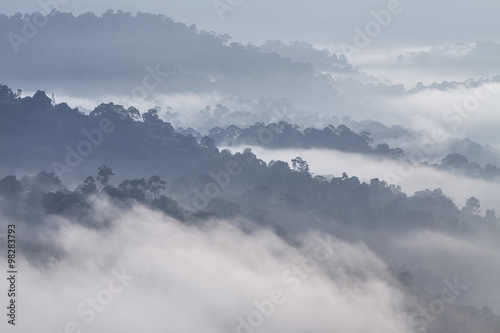 Layers of misty forests