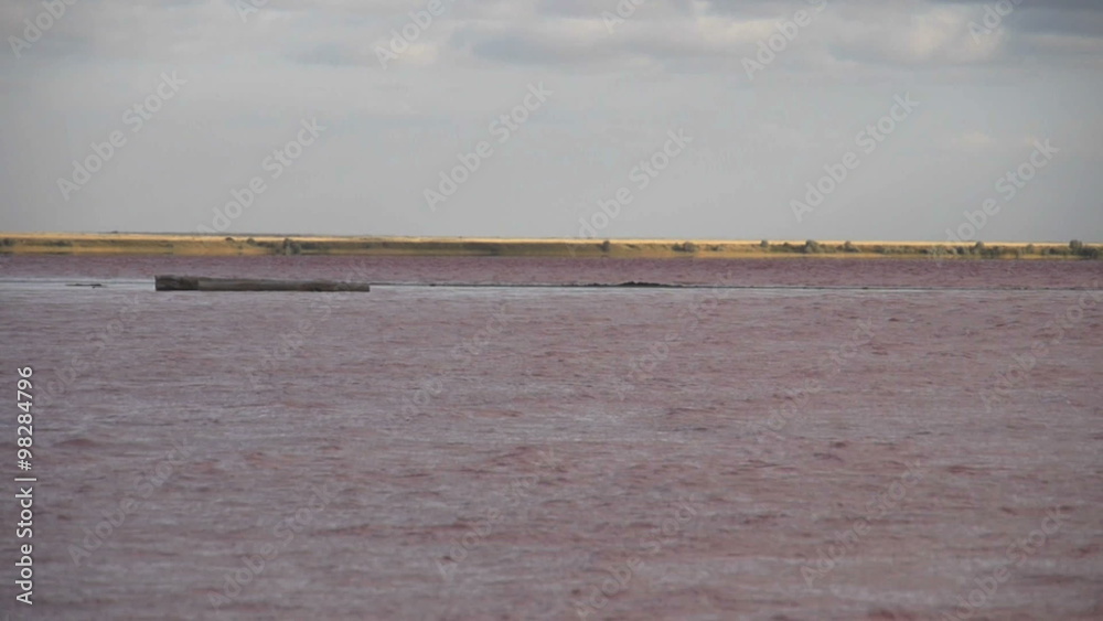 The train goes by rail through pink lake The train goes by rail through pink lake