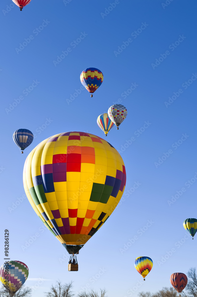 Obraz premium Hot Air Balloons.