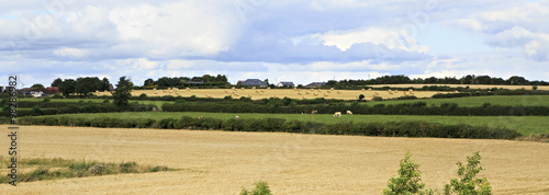 Beautiful summer farmland in countryside of Ireland