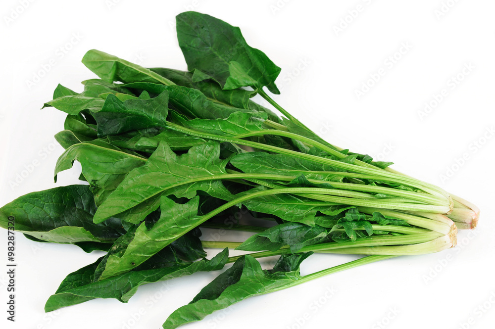 fresh green spinach on white background fresh green spinach on white background