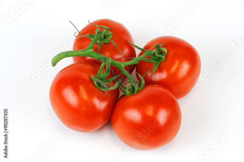 tomato on white background © nd700
