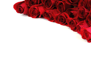 red roses at the corner of white background