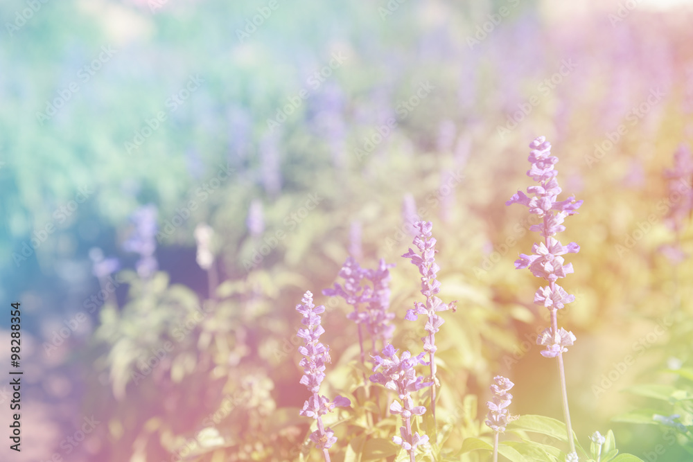 Naklejka premium Digital effects colorful abstract for background.