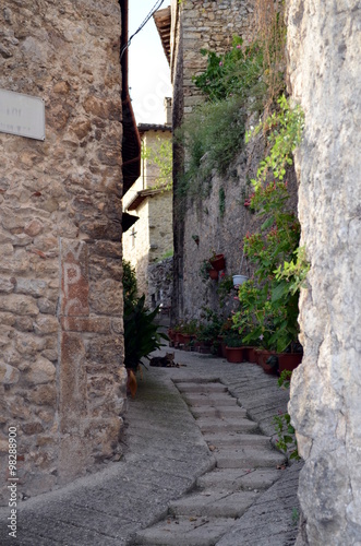 Fototapeta Naklejka Na Ścianę i Meble -  Wonderful street in small medieval town in sunny day
