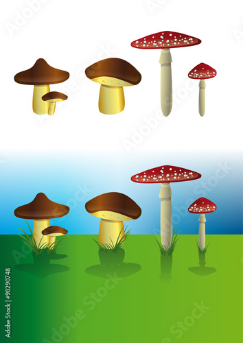 Illustrated mushrooms set in landscape 