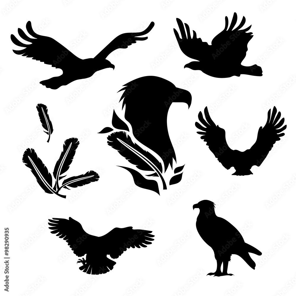 Obraz premium Eagle set vector
