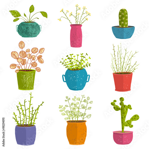 Set of green indoor plants in pots