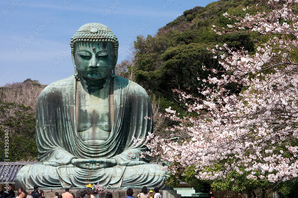 Fototapeta premium Kamakura Daibutsu i Sakura [Wiosna]