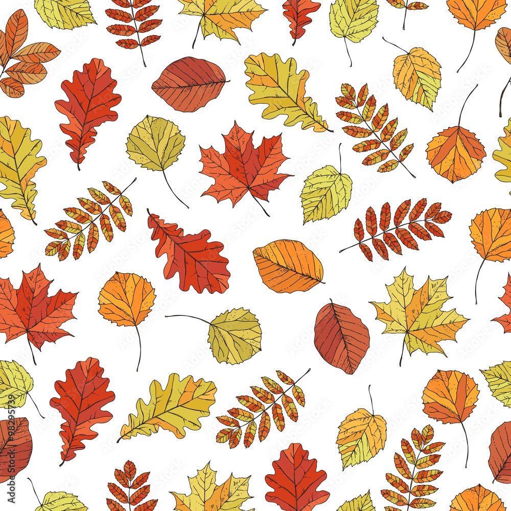 Obraz premium Autumn leaves seamless pattern