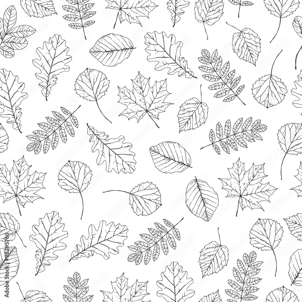 Autumn leaves seamless pattern Autumn leaves seamless pattern