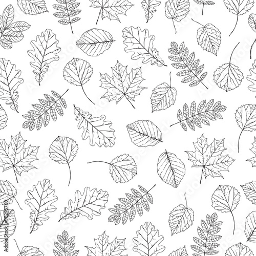 Autumn leaves seamless pattern