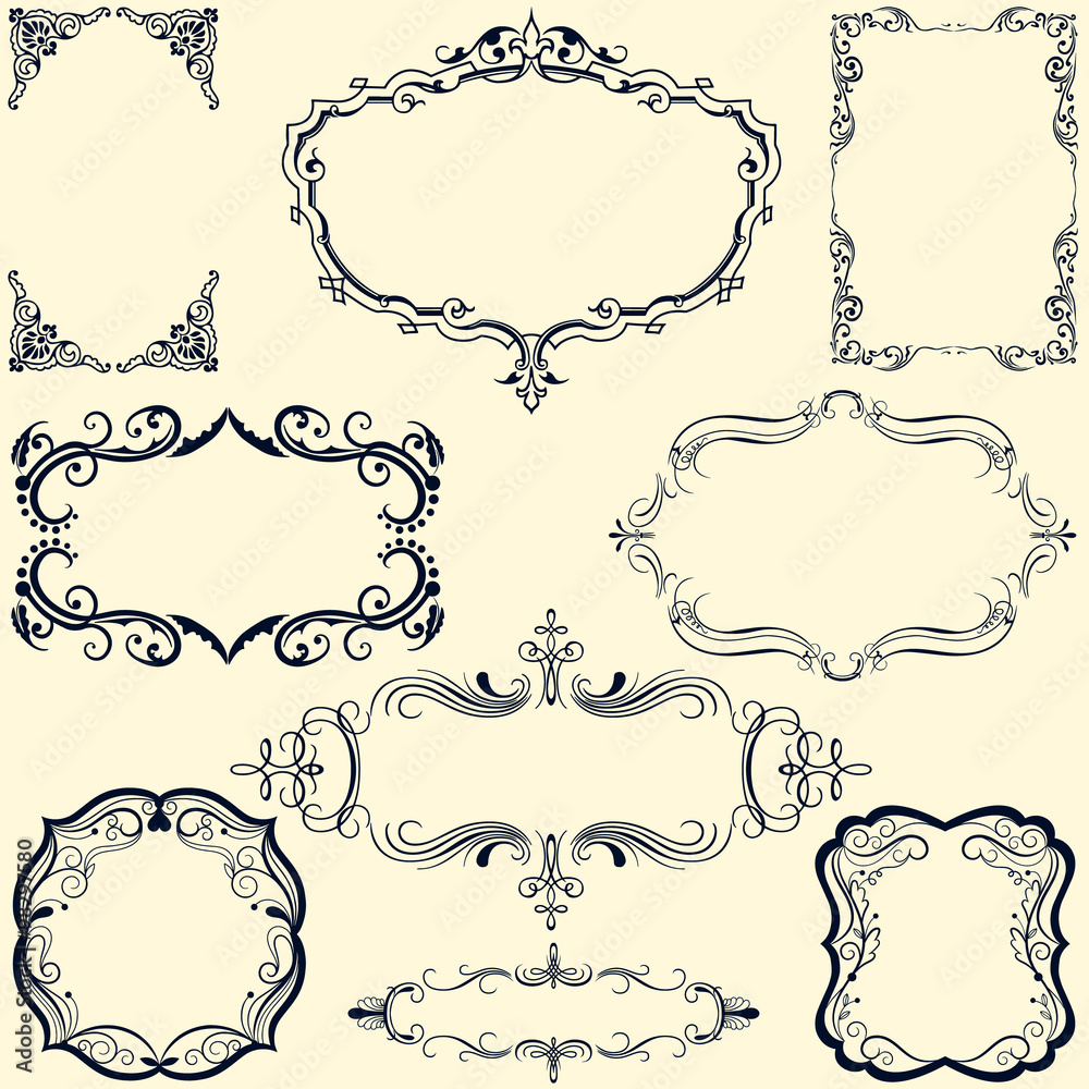 Vector Frame and Design Ornament