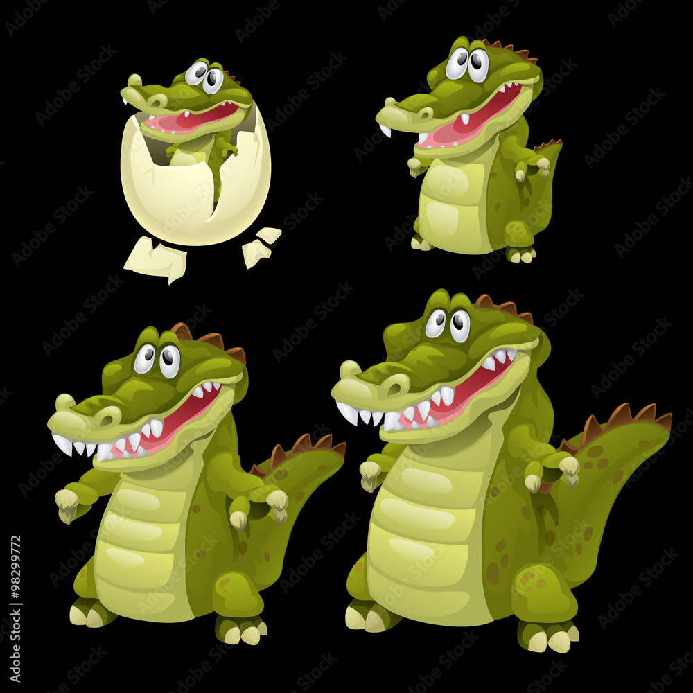 Fototapeta premium Birth and growth of a crocodile, four stages
