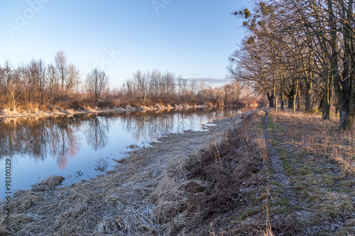 December landscape with trees and river aged grass and a sunny weather. photo