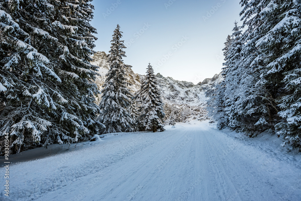 Obraz premium Winter landscape, snow-covered trees,Tatra Mountains, Poland 